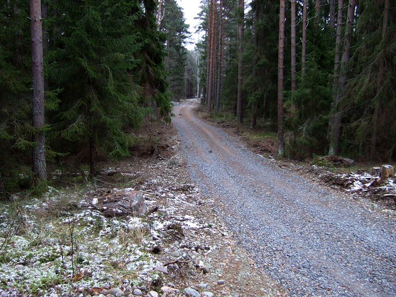 Tie pohjoiseen Tie pohjoiseen
