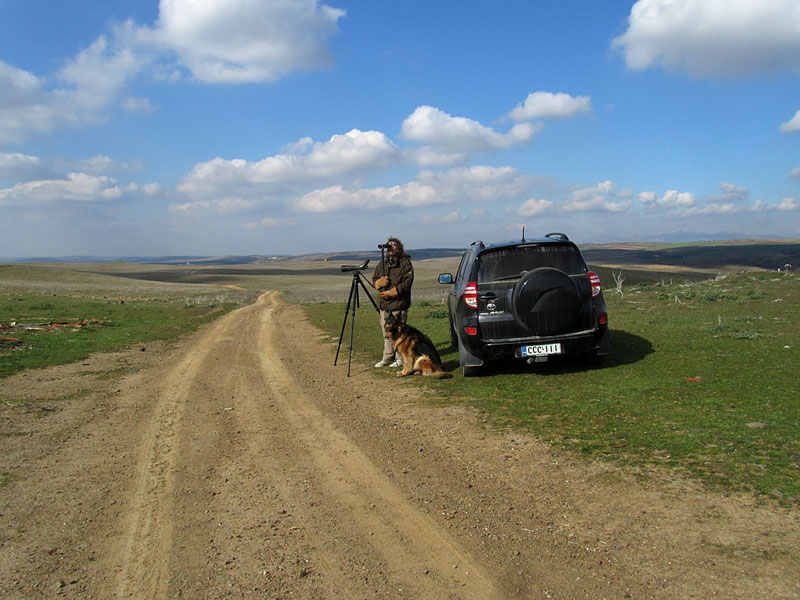 Lotte Blogger ja Rav4 Lotte Blogger ja Rav4