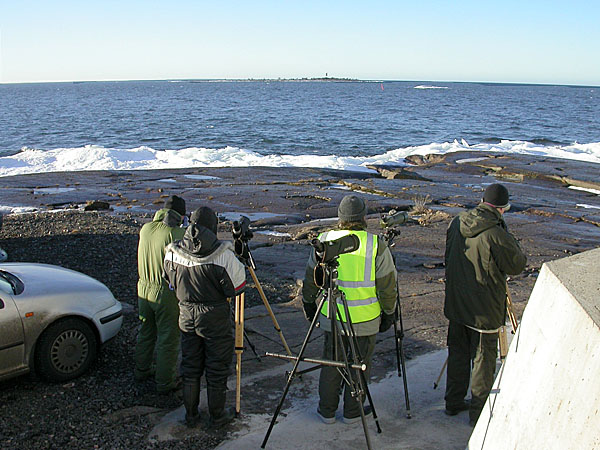 Kallioholman staijjarit