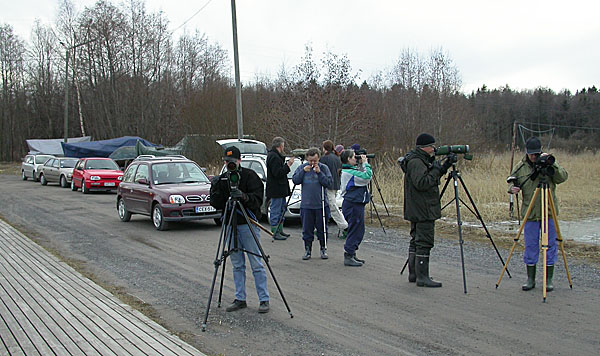 Kunnanlaiturin porukka Kunnanlaiturin porukka