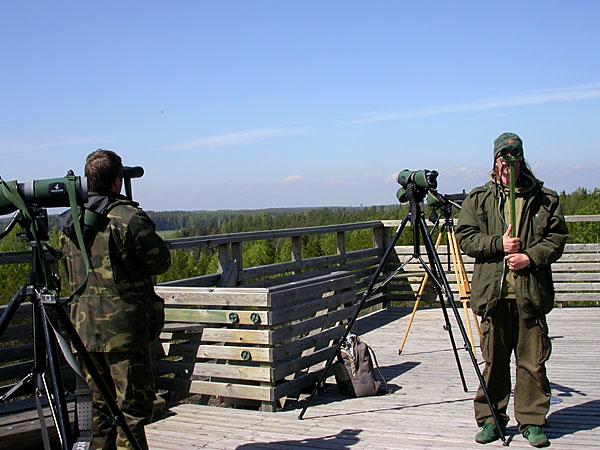 Kurkela Kurkela