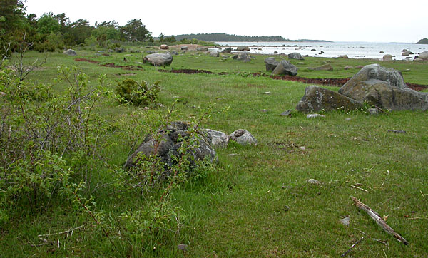 Pohjoisniitty Pohjoisniitty'
