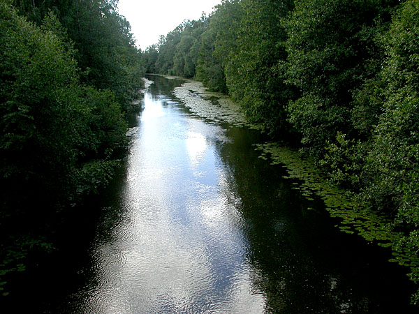 Alajuoksulle Alajuoksulle