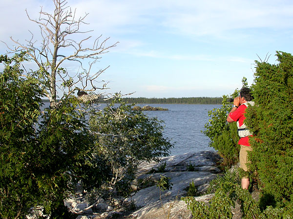 Kuvaamassa sivulta