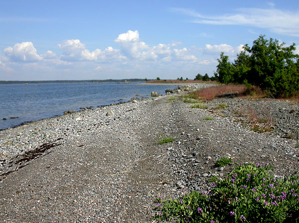 Ranta itään Ranta itään