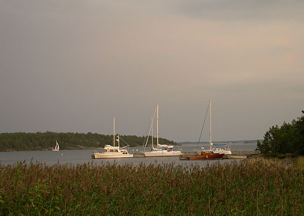 Ukkonen tulee