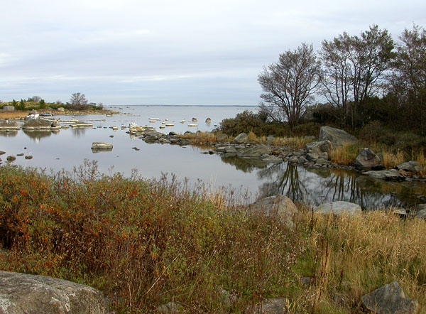 Laguuni Laguuni