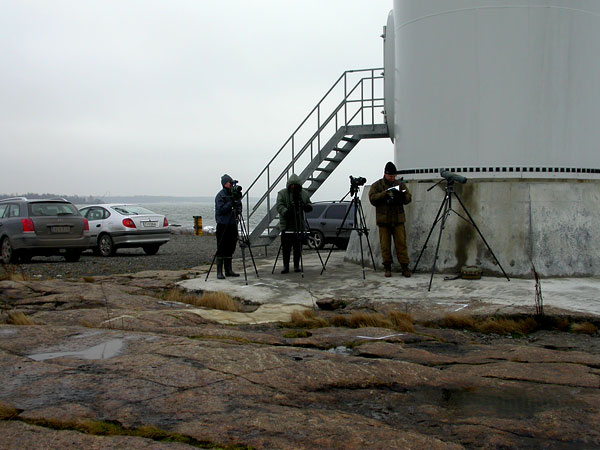 Staijjiporukka Staijjiporukka