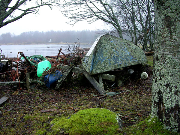 Veneenraato Veneenraato