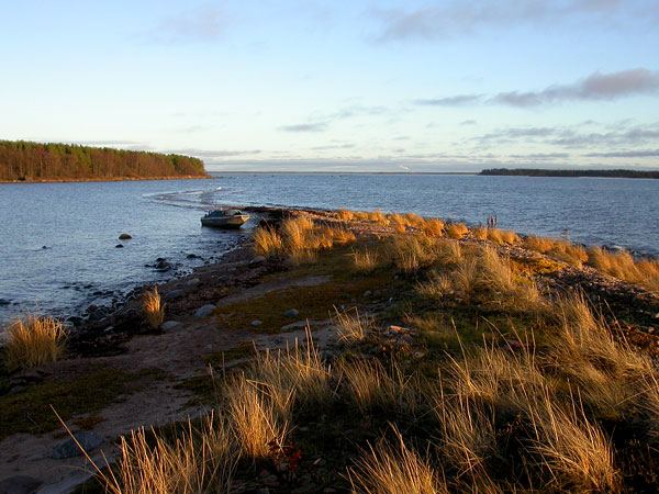 Puskuurin riutta Puskuurin riutta