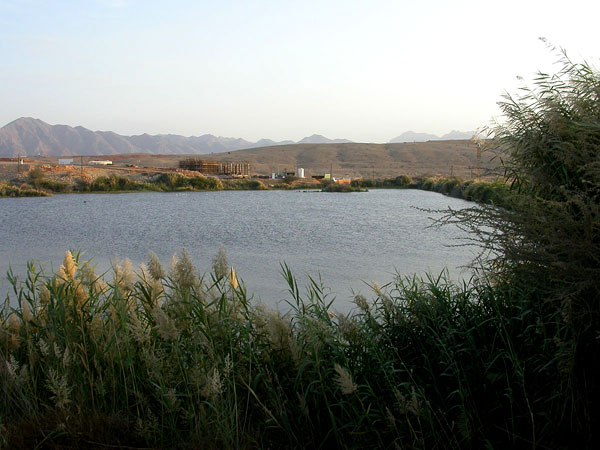 Al Ansab Laguuni Al Ansab Laguuni