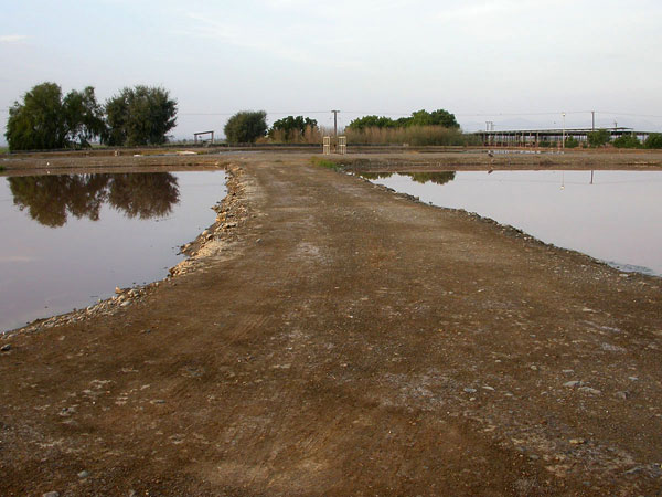 Sun Farmin altaat Sun Farmin altaat