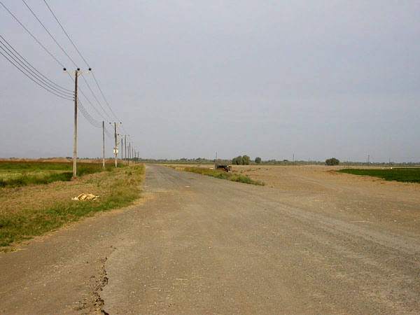 Sun Farmin peltoja Sun Farmin peltoja