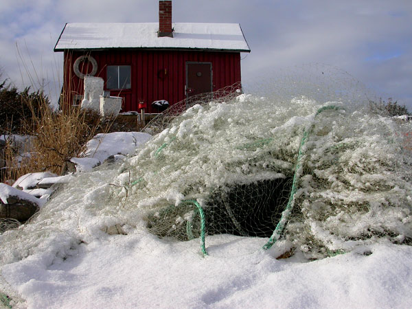 Kasakoiden mökki Kasakoiden mökki