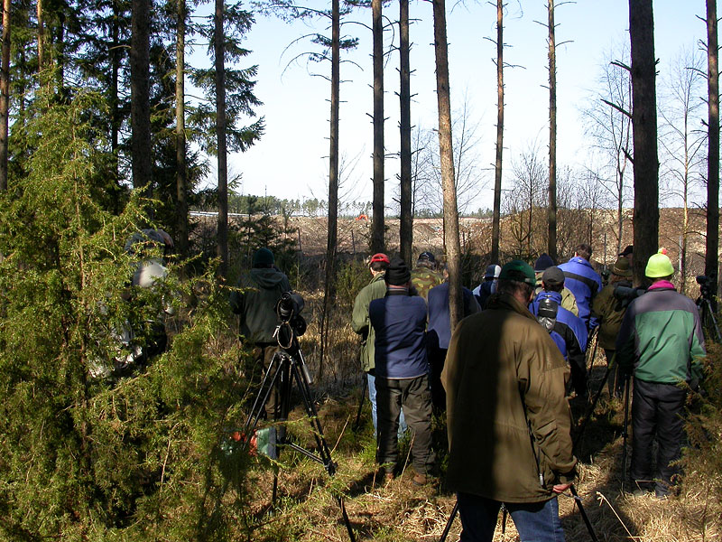 Porukka metsässä Porukka metsässä