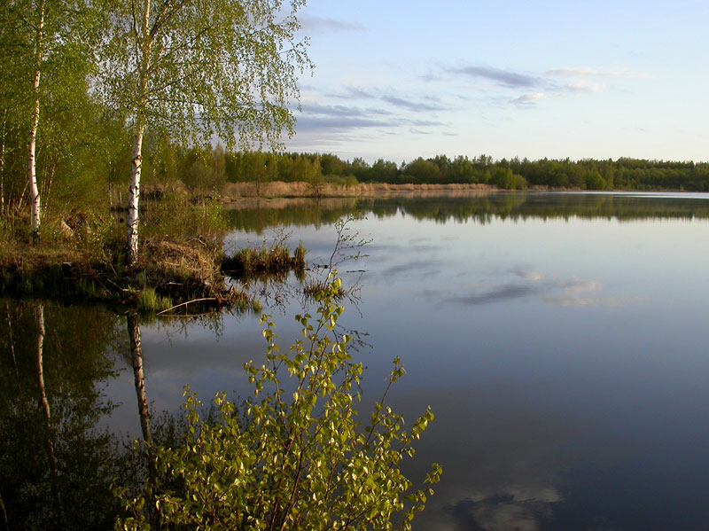 Linnun havaintopaikka
