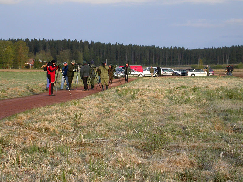 Perukka pellolla