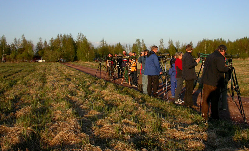Porukka pellolla