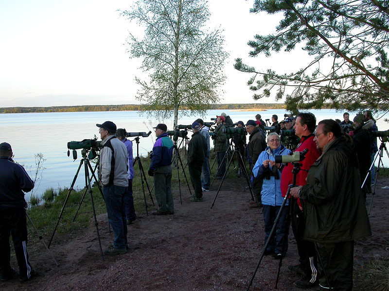 Porukka rannalla