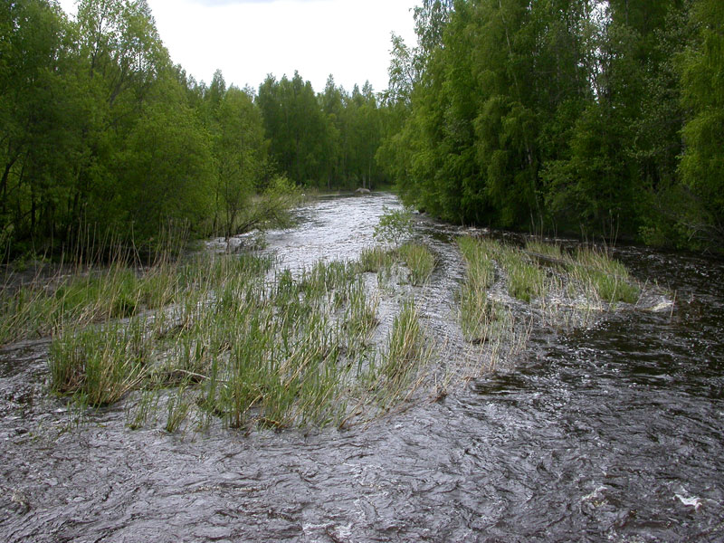 Hanhijoki Hanhijoki