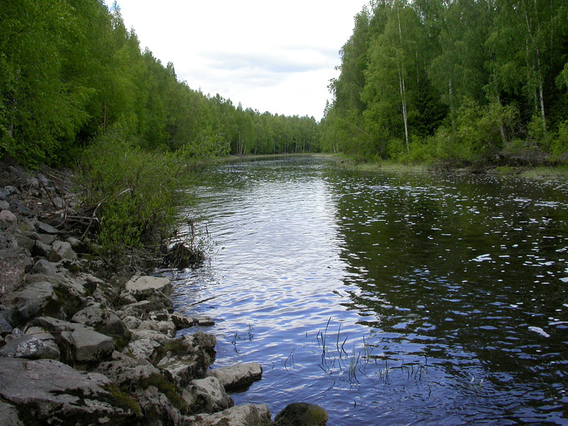 Oravajoki Oravajoki