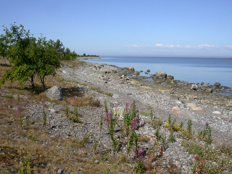 Pohjoisranta Pohjoisranta