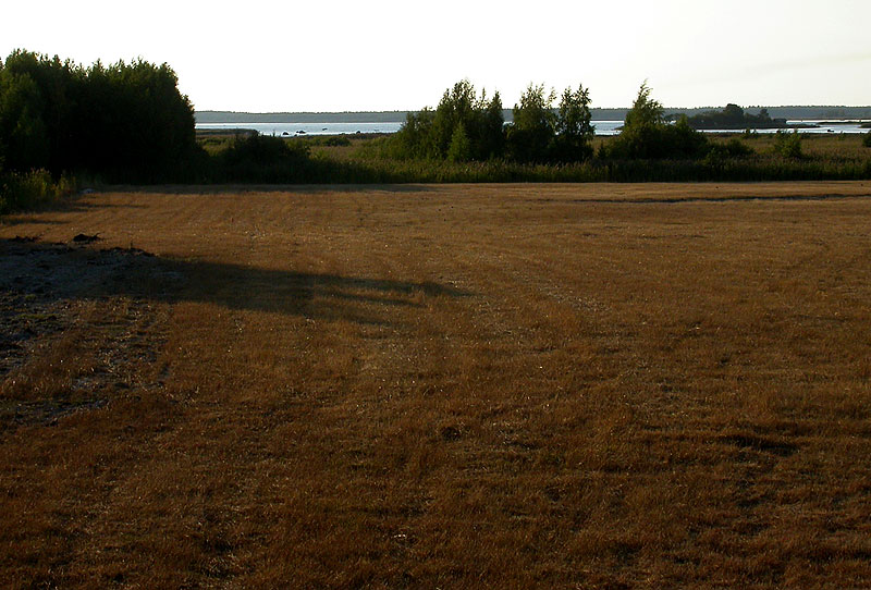 Pes&auml;n&auml;kym&auml;&auml;