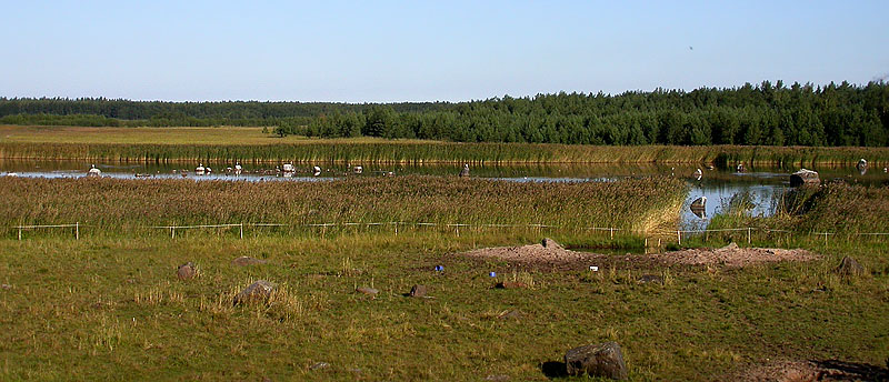 Leveäkarin laguuni Leveäkarin laguuni