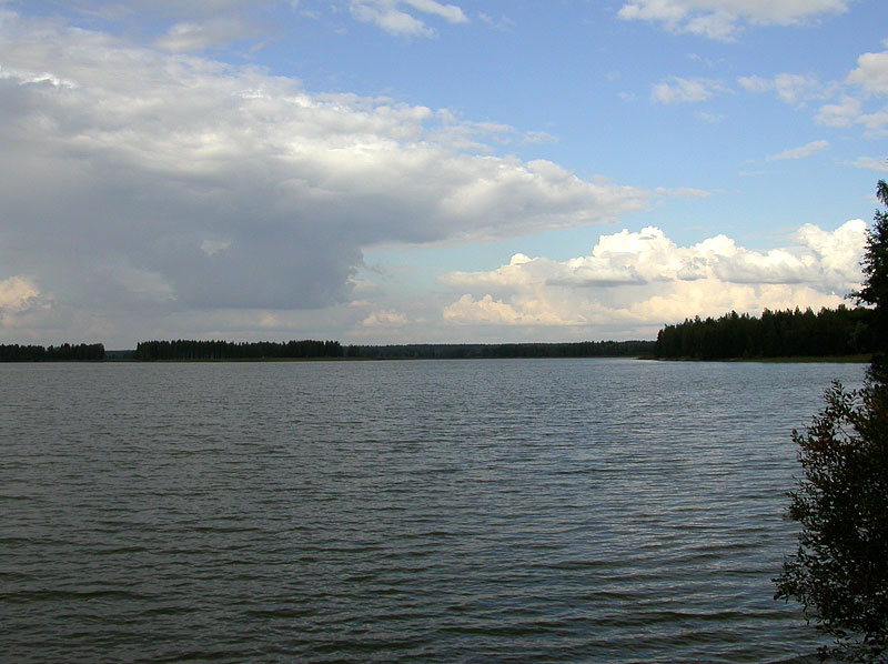 Ruostesorsan paikka