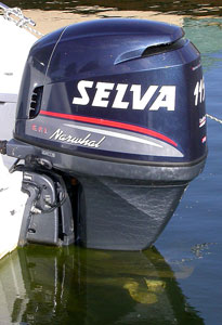 Selva