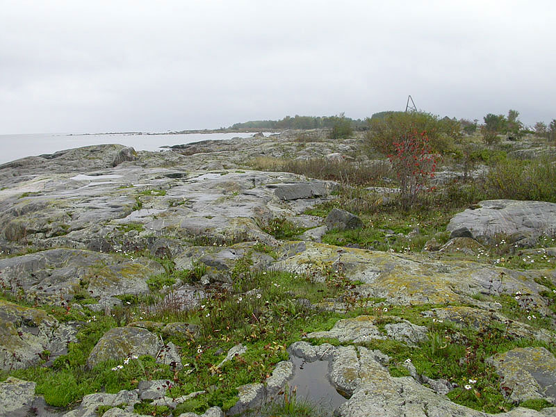 Eteläkärki Eteläkärki