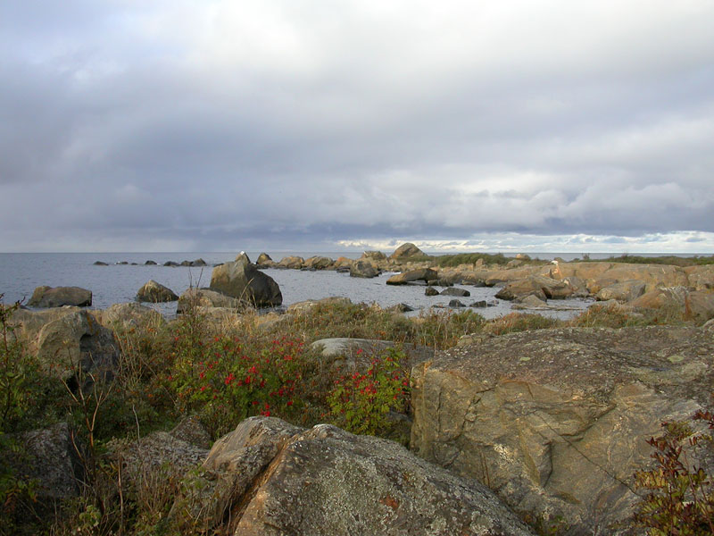 Länsikärki Länsikärki