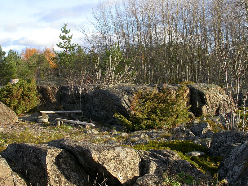 Viikon l&ouml;yt&ouml;