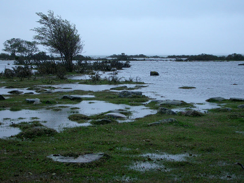 Eteläriutta Eteläriutta