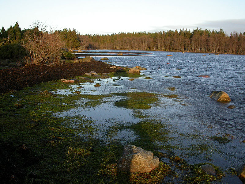 Etelälaguuni Etelälaguuni