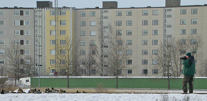 Ne on ne valokuvaajat Ne on ne valokuvaajat