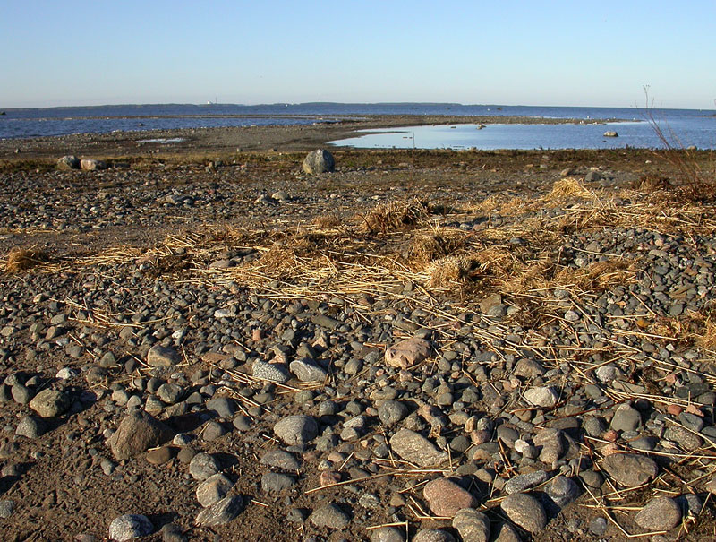 Itäriutta Itäriutta