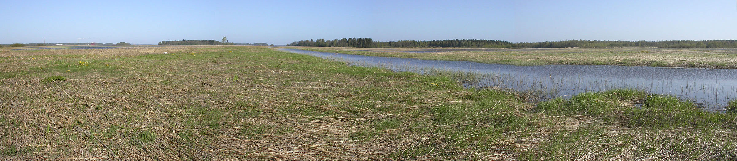 Lyttylänviiki Lyttylänviiki