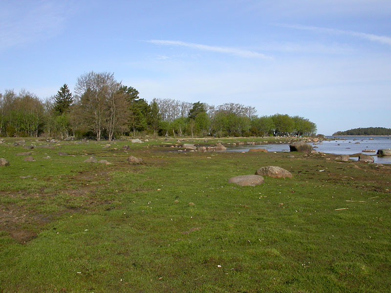 Koillisniitty