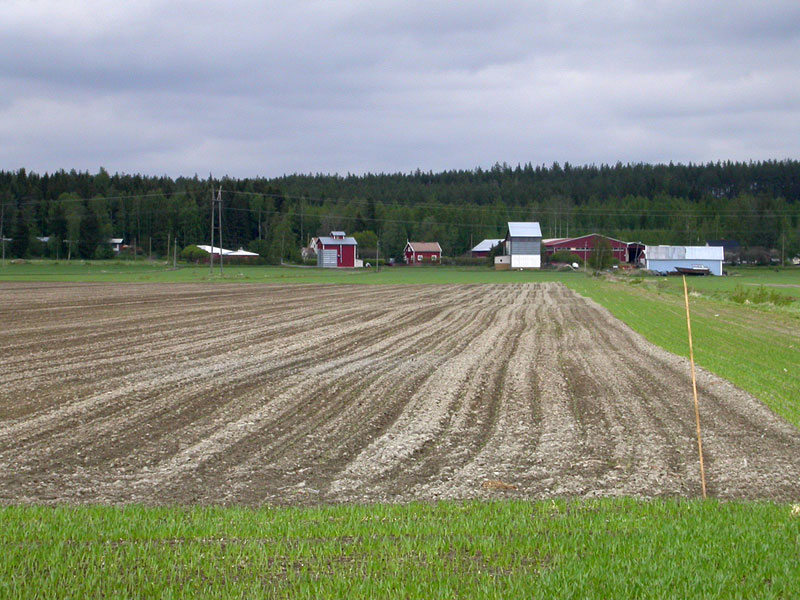 Leisilänjärven paikka Leisilänjärven paikka