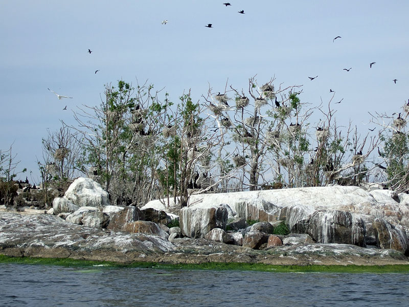 Järvikari lähempää Järvikari lähempää