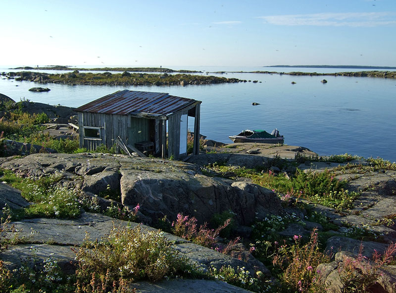 Tervakallio Tervakallio