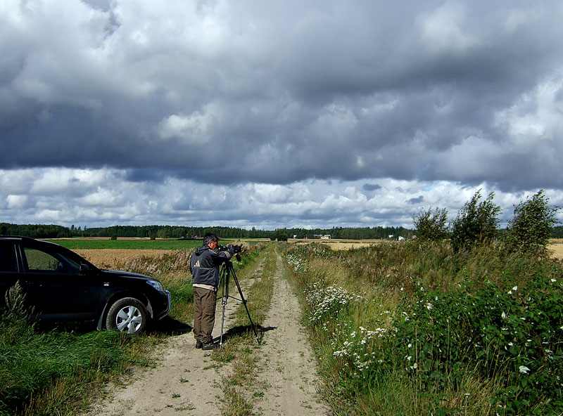 Staijari peltoaukealla