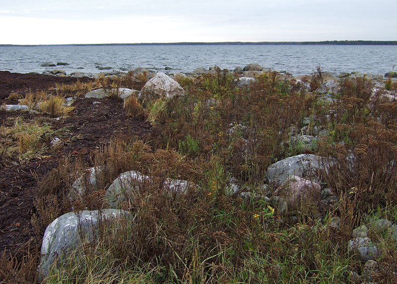 Calicatan löytöpaikka Calicatan löytöpaikka