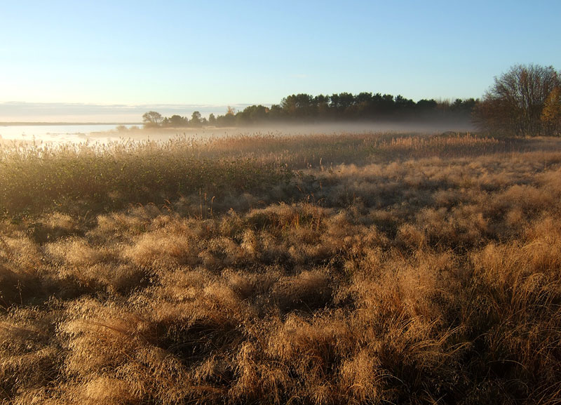 Auringonnousun aikaan Domarkobbanilla
