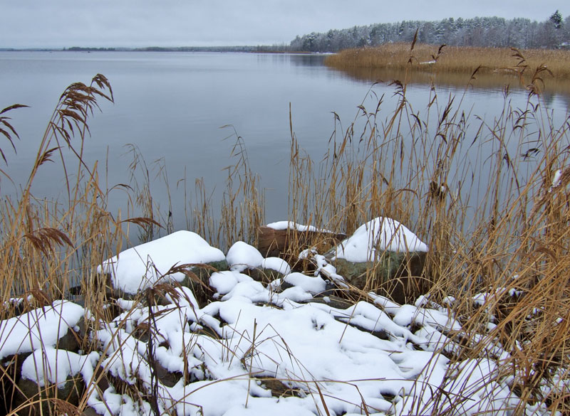 Viasvedenlahden pohjukkaa