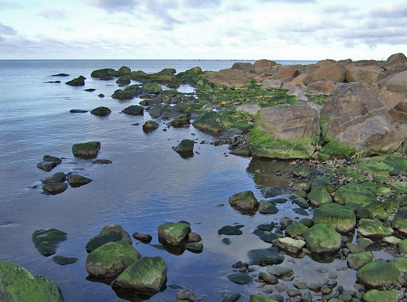 Merivesi matalalla