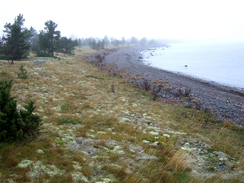 Revelin pohjoisranta