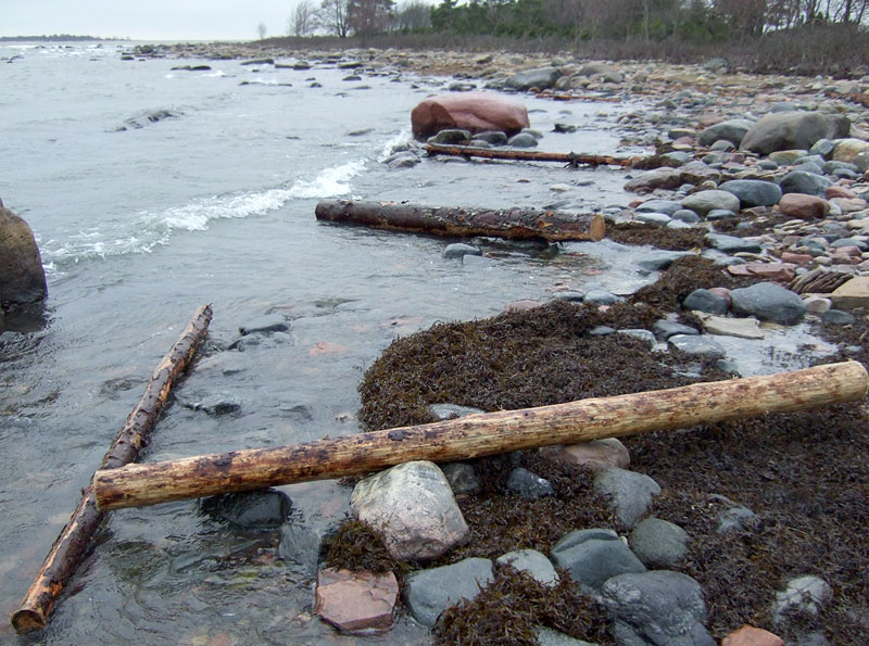 Kuuminainen Kuuminainen