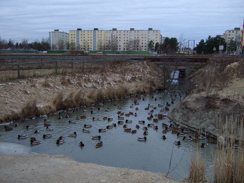 Sorsat